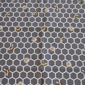 Kuhinjska krpa Bees Black 45x70cm