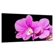 shumee Steklena zaščitna plošča za štedilnik 90x52 Orchidea