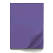 Papir šeleshamer b1 70x100 intenziv er