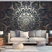Samoljepljiva foto tapeta - Spider Web (Brown) 294x210