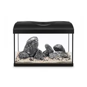 Akvarij STARTUP 40 LED RAVNO - ČRNO + Ryuoh Shine River Kit