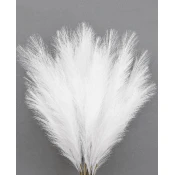 Camerazar Dekorativni set 10 kosov umetne trave pampas, bela, visoka 60 cm