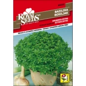 SEME ROYAL SEEDS 255 Drobnolistna bazilika
