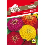 CINIJA MEŠANICA 1,5gr