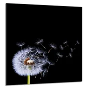 shumee STEKLENA PLOŠČA ZA KUHINJO 60x65 Cvet