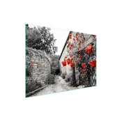 shumee Steklena zaščita za kuhalno ploščo 70x52 Roses