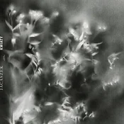 Jacaszek - Kwiaty (LP)