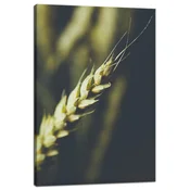 shumee Platno Botanika Pšenični klas 40x60 cm