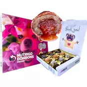 LK Baits NUTRIGO Bonbons Holiday Gift Box Small