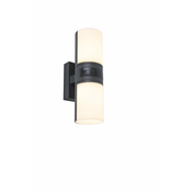LUTEC 5198101118 | Cyra Lutec zidna svjetiljka elementi koji se mogu okretati 2x LED 1000lm 3000K IP54 tamno sivo, opal