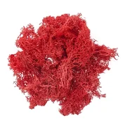 Naravni dekorativni mah - Jelenov lišaj 30 g | Red