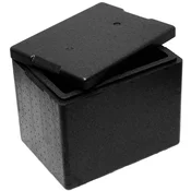 shumee Termo škatla Thermobox s pokrovom za hrano in zdravila 395x295x320mm 20L