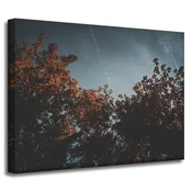 shumee Platno s tiskom Krošnje pomarančevcev 40x30