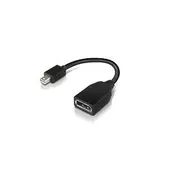 Lenovo LENOVO MINI DP (M) TO FULL SIZE (F) CABLE (4X90L13971)
