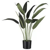 Modern Living Umetna Rastlina Wassercanna Ii