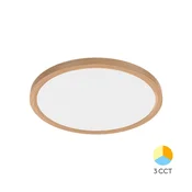 BRAYTRON JADE SLR stropna svetilka LED 36W CCT IP40 naravna