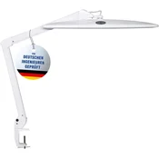MAULwork LED namizna svetilka, bela, zatemnitev, spona