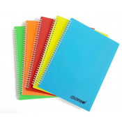 NN BLOK KOLEGIJ A5 ČRTAN PVC 80L + LUKN.