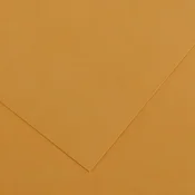 Canson Vivaldi 50x65 cm Leather 32 240 g Barvni papirji