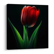 Slika tulipanov cvet ponoči - 20x20