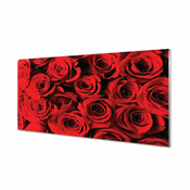 tulup.si Zidna obloga za kuhinju Roses 100x50 cm