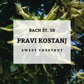 Bachove kapljice 30, Pravi kostanj - Sweet Chestnut, 10 ml