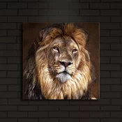 Opviq Slika na platnu sa LED osvetljenjem 40x40cm