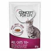 Concept for Life All Cats 10+ - izboljšana receptura! - Kot dopolnilo: 12x85 g Concept for Life All Cats 10+ v želeju