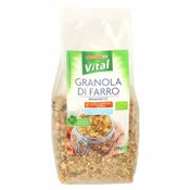 BIO POLNOZRNATI PIRINI KOSMIČI, MED IN CIMET, DESPAR VITAL, 275G