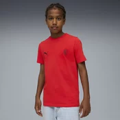 Mens Puma AC Milan Ftbl Essentials Tee Youth, Red, Size 11-12Y, Clothing