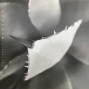 Dirk Serries - Epitaph (Limited Edition) (2 LP)