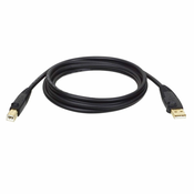 Eaton Tripplite USB-A/USB-B (moški/moški), USB 2.0, 1,83 m