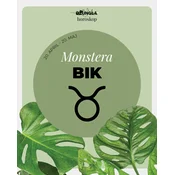 Horoskop rastlina: Bik (Monstera)
