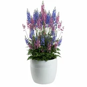 shumee Klasični cvetlični lonec Luna bel 32,8 cm