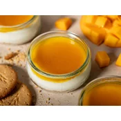 Semifreddo bela čokolada in mango 80g