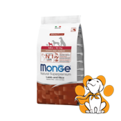 Monge Mini