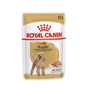 Royal Canin Adult Poodle - pašteta 85 g