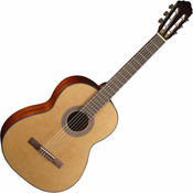 Cort AC200-NT