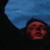 Troye Sivan - In A Dream (Anniversary Edition) (Red/Blue Coloured) (180 g) (LP)