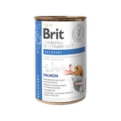 Brit Veterinary Diet | Dog Recovery 400g