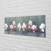 tulup.si Slika na akrilnem steklu Magnolija podružnica 140x70 cm 4 obešalnika