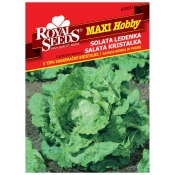 SEME ROYAL SEEDS 53 Solata Zagrebačka kristalka