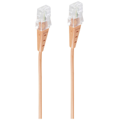Shiverpeaks Shiverpeaks BASIC-S ISDN priključni kabel\, RJ45 vtič na vtič RJ45\, okrogel kabel\, 4-žični\, oranžen\, 2 m Shiverpeaks ISDN priključni kabel [1x RJ45 vtič - 1x RJ45 vtič] 2 m oranžna, (20411155)