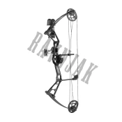 Bear Archery Compound Bow Pathfinder