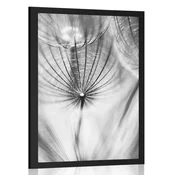 Plakat regrat v črnobeli varianti - 20x30 silver