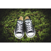 CONVERSE CHUCK TAYLOR 3J235