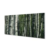 tulup.si Slika na akrilnem steklu Breza gozd 125x50 cm 4 obešalnika