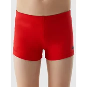 Boys swimsuit 4F