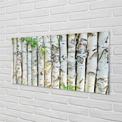 tulup.si Stenska plošča za kuhinjo Breza listi 125x50 cm