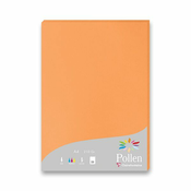 Barvni dopisni karton Clairefontaine, A4, 25 kosov, oranžna barva, A4